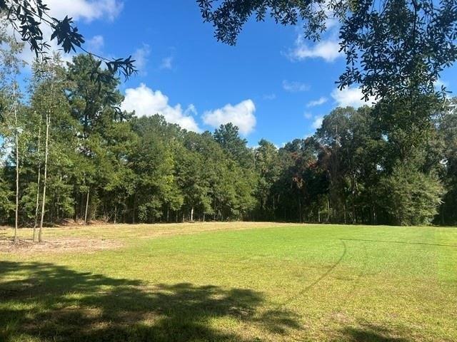 Land for sale in Robert, Louisiana