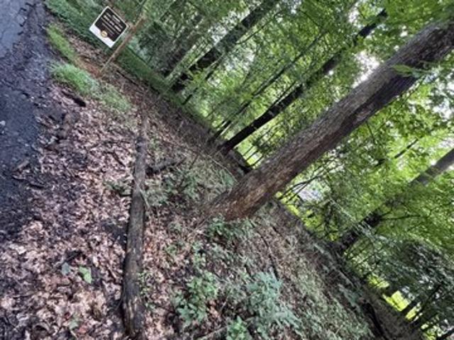 Land for sale in Virginia