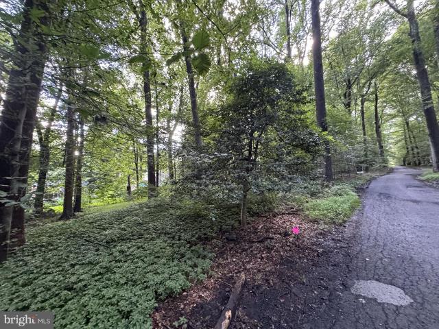 Land for sale in Virginia
