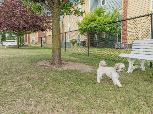 Apartment for rent in Savoy, Illinois