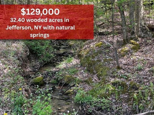 Land for sale in Jefferson, New York