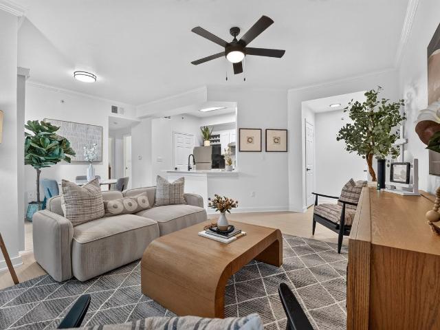 Apartment for rent in Austin, Texas