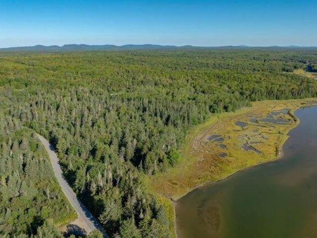 Land for sale in Steuben, Maine