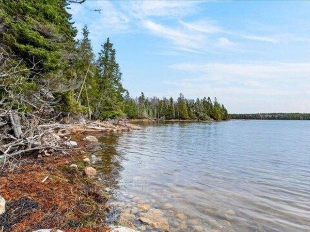 Land for sale in Steuben, Maine