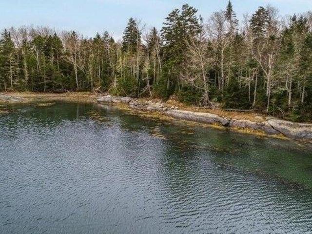 Land for sale in Steuben, Maine