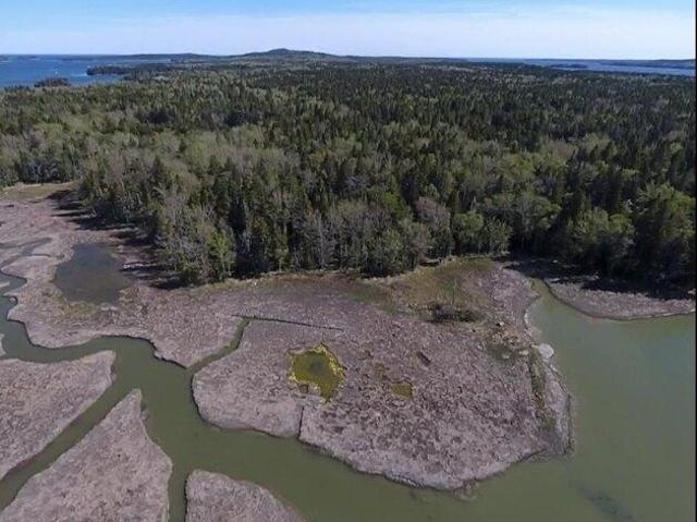 Land for sale in Steuben, Maine