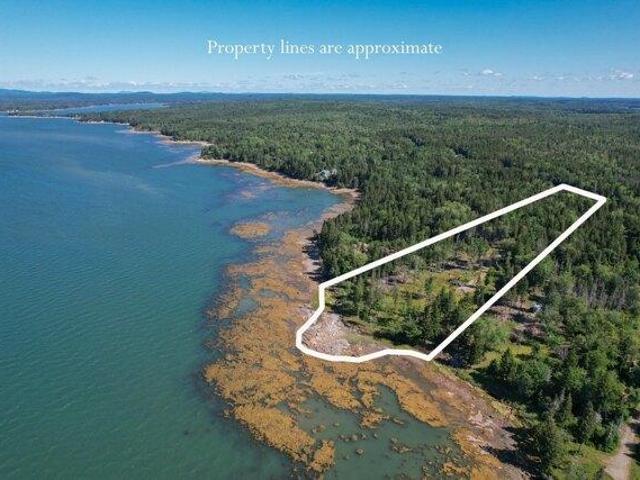 Land for sale in Steuben, Maine