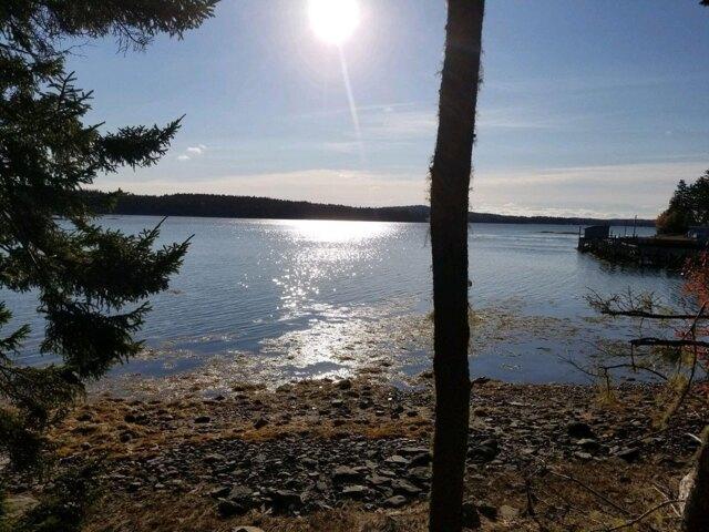 Land for sale in Steuben, Maine