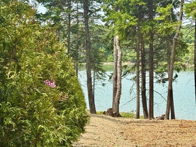 Land for sale in Steuben, Washington County