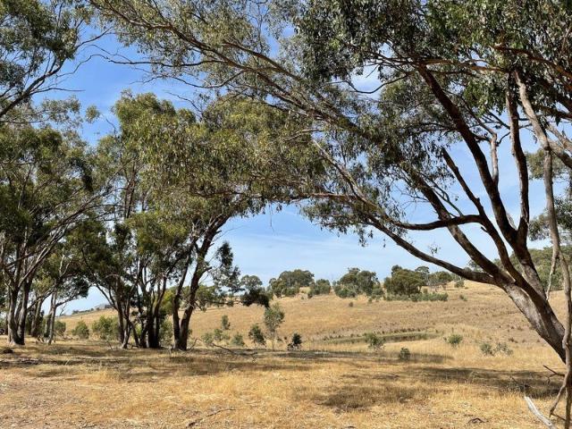 Land for sale in Guildford, Victoria