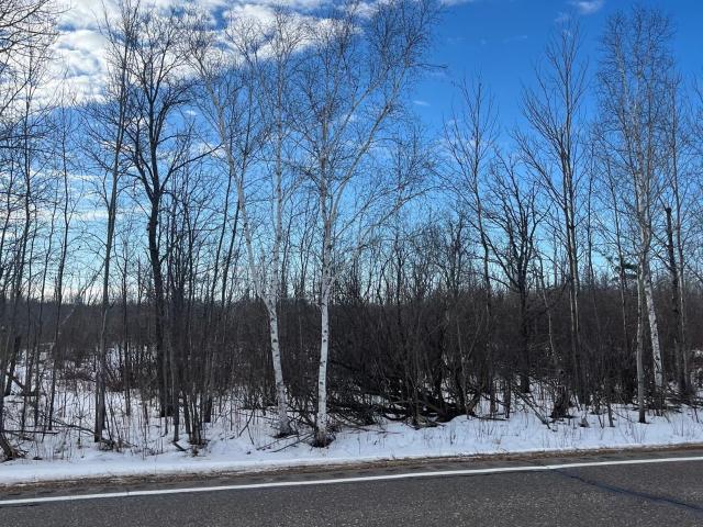 Land for sale in Minnesota