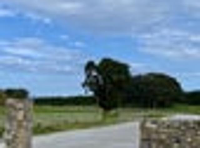 Land for sale in Maungatapere, Northland
