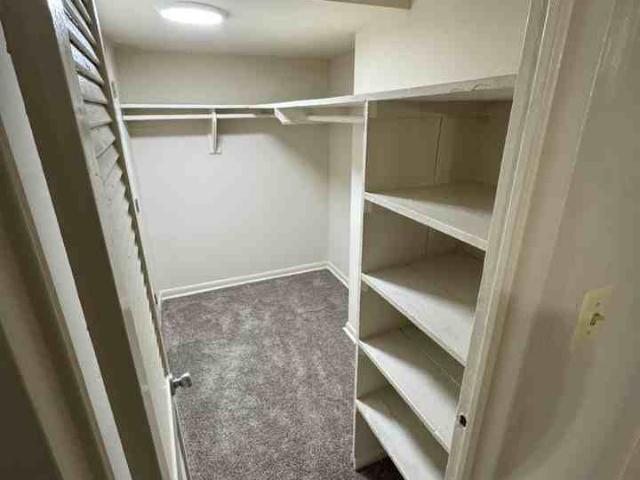 Apartment for rent in Laurel, Maryland