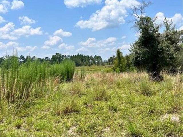 Land for sale in Eustis, Florida