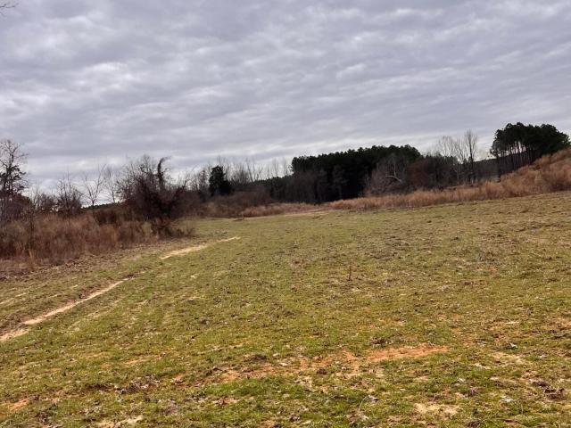 Land for sale in Tate, Mississippi
