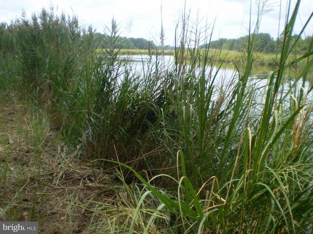 Land for sale in Princess Anne, Maryland