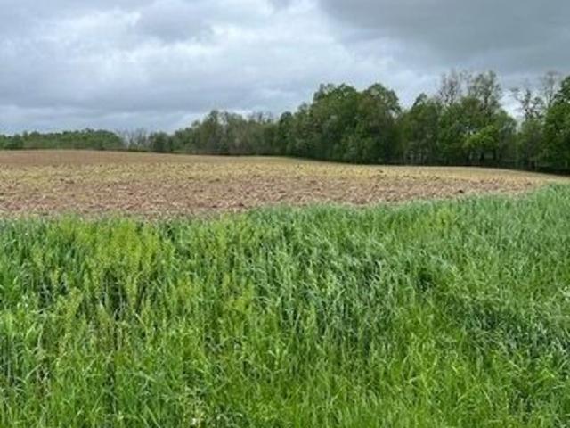 Farm for sale in Newark, Ohio