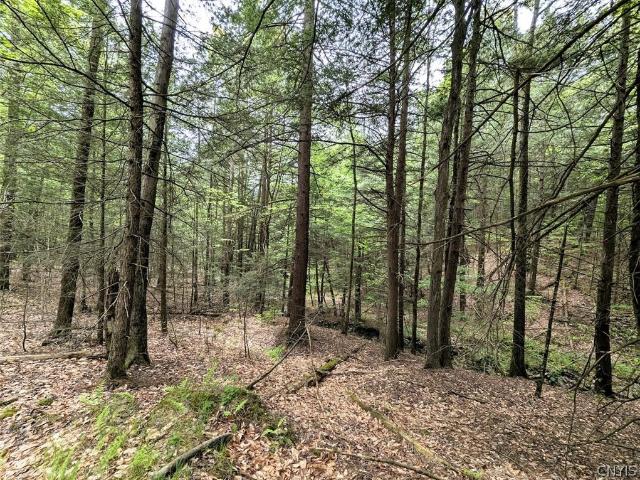 Land for sale in Addison, New York