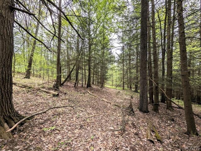 Land for sale in Addison, New York