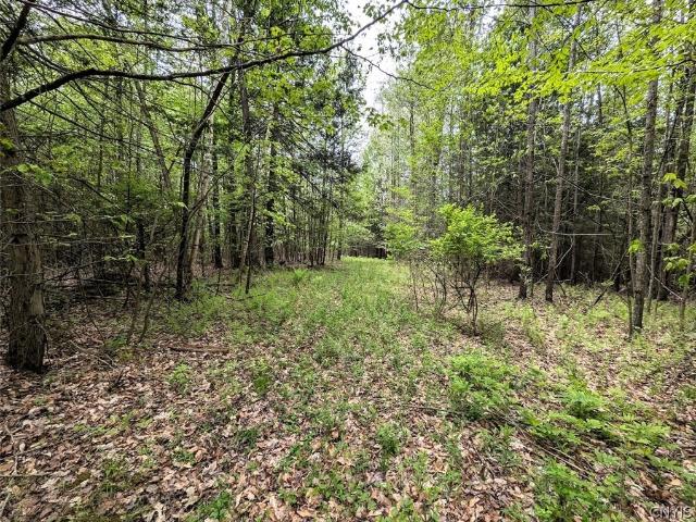 Land for sale in Addison, New York