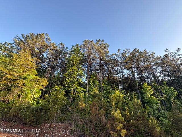 Land for sale in Choctaw, Mississippi