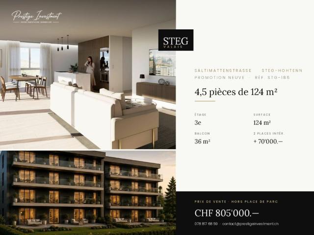 Wohnung kaufen in Steg (VS), Wallis