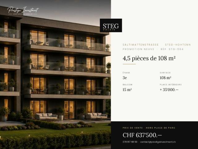 Wohnung kaufen in Steg (VS), Wallis