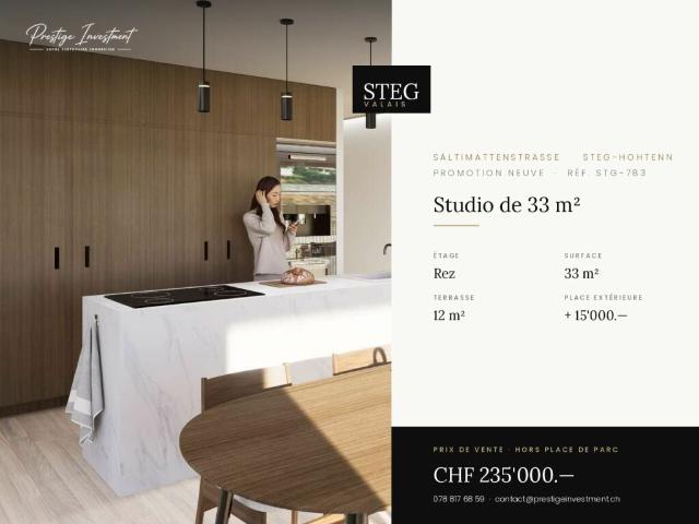 Wohnung kaufen in Steg (VS), Wallis