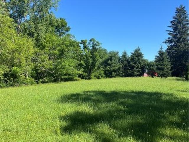 Land for sale in Cayuga, New York
