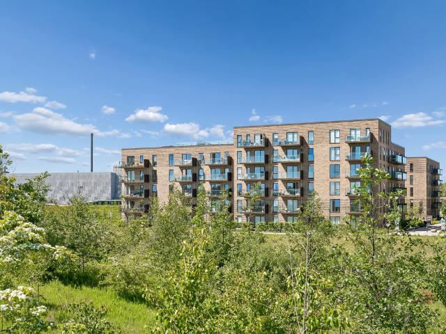 Hus til leje i Stigsborg, Aalborg