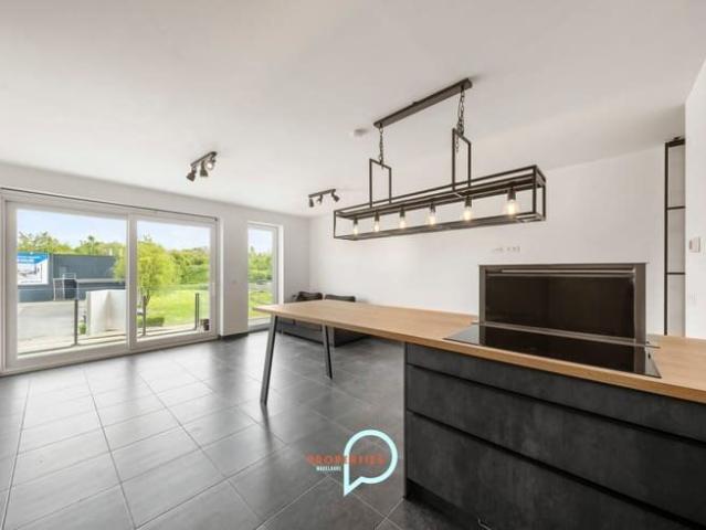 Kot location à Renaix, Oost-Vlaanderen