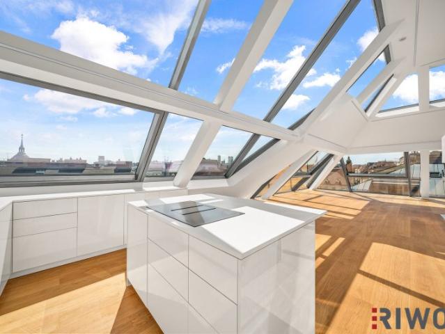Dachgeschosswohnung kaufen in Wien