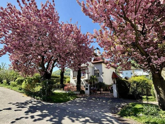Haus kaufen in Gersdorf-Feistritz, Steiermark