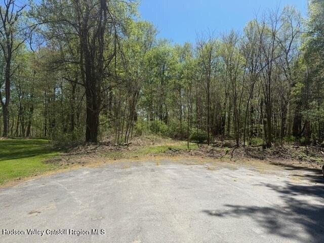 Land for sale in Stone Ridge