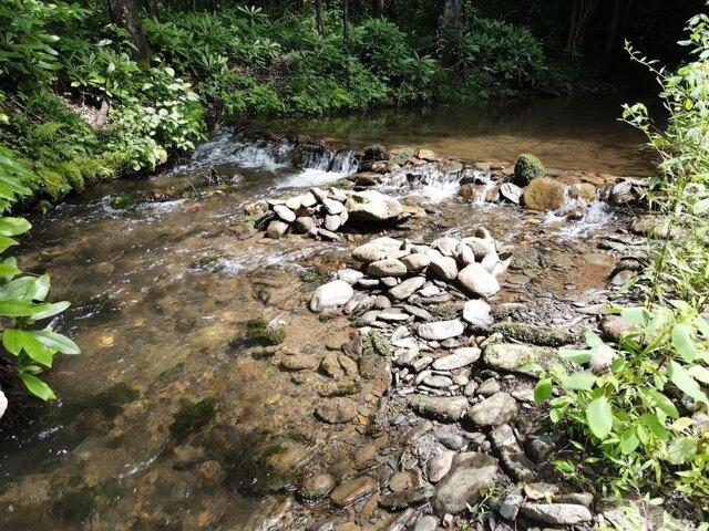 Land for sale in Turtletown