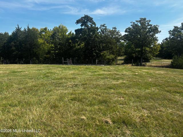 Land for sale in Sardis, Mississippi