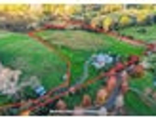 House for rent in Hibiscus Coast, Hibiscus and Bays