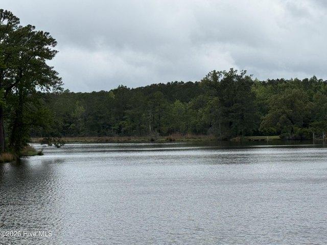 Land for sale in Belhaven, North Carolina