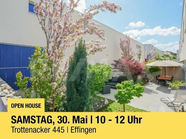 Reihenfamilienhaus kaufen in Effingen, Aargau