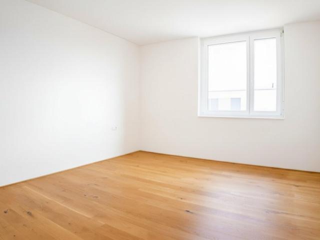 Terrassenwohnung kaufen in Lustenau, Vorarlberg