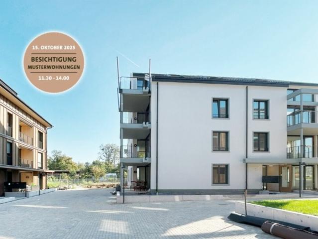 Dachwohnung kaufen in Pratteln, Basel-Landschaft
