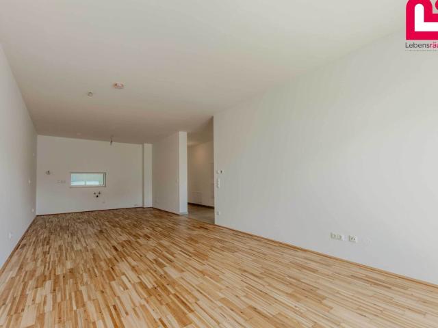 Wohnung kaufen in Tragwein, Oberösterreich