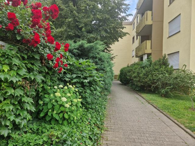 Wohnung kaufen in Innenstadt, Weinheim