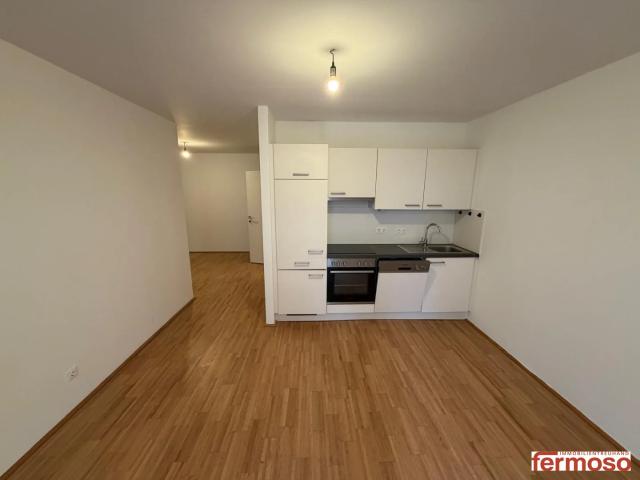 Apartment mieten in KG Brigittenau, Wien