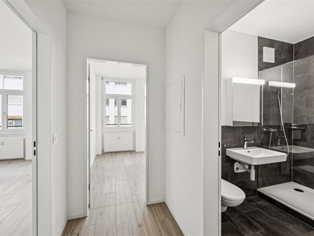Wohnung mieten in Basel, Basel-Stadt