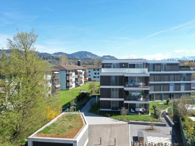 Wohnung kaufen in Wetzikon (ZH), Zürich