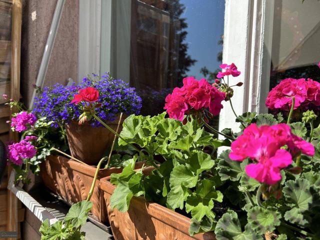 Apartment kaufen in Innsbruck, Tirol
