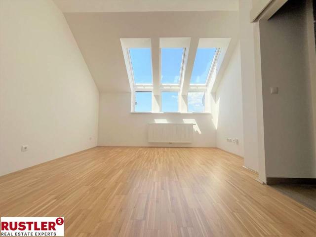 Wohnung mieten in Andritz, Gersdorf-Feistritz