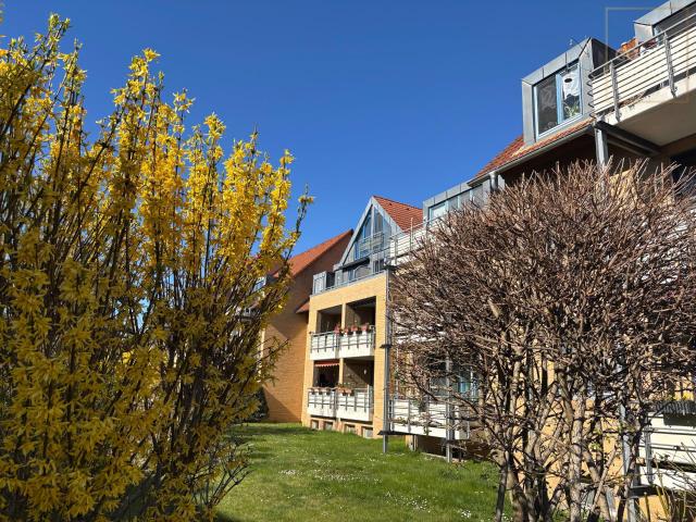 Wohnung kaufen in Machern, Sachsen