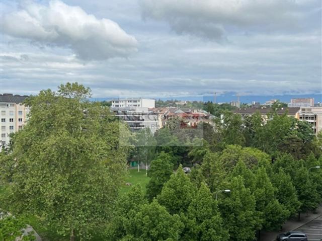 Wohnung mieten in Carouge (GE)